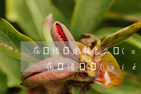 花唄借唄逾期怎么協(xié)商分48期-花唄借唄協(xié)商延期