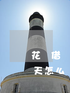 花唄借唄逾期怎么辦2年(借唄不小心逾期2天怎么辦)