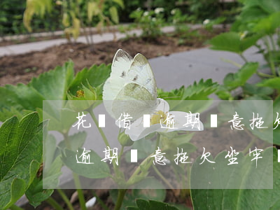 花唄借唄逾期惡意拖欠坐牢幾年-花唄借唄逾期惡意拖欠坐牢幾年了