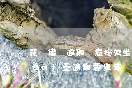 花唄借唄逾期惡意拖欠坐牢幾年(借唄嚴(yán)重逾期要坐牢?)