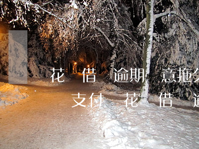 花唄借唄逾期惡意拖欠說(shuō)要上門(支付寶花唄借唄逾期了說(shuō)上門走訪)