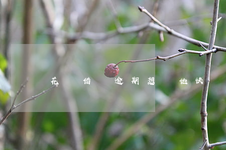 花唄借唄逾期想讓他快點(diǎn)起訴