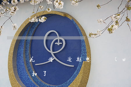 花唄借唄逾期想還網(wǎng)商貸都被扣了
