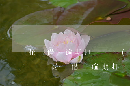 花唄借唄逾期打電話來(lái)要家人電話-花唄借唄逾期打電話來(lái)要家人電話怎么辦