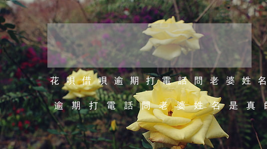 花唄借唄逾期打電話問老婆姓名-花唄借唄逾期打電話問老婆姓名是真的嗎