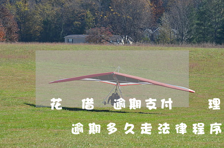 花唄借唄逾期支付寶處理流程(支付寶花唄借唄逾期多久走法律程序)