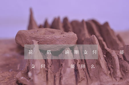 花唄借唄逾期支付寶還能用-花唄借唄逾期支付寶還能用么