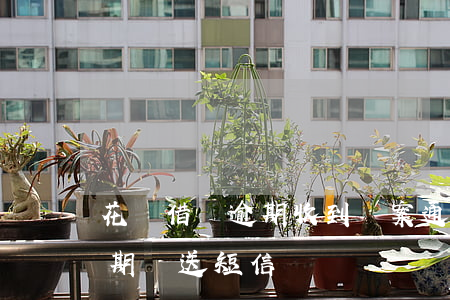 花唄借唄逾期收到報案通知短信(借唄來了逾期報送短信)