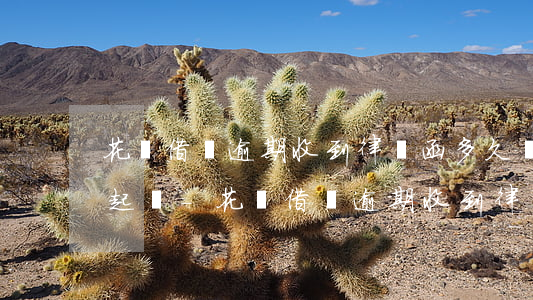 花唄借唄逾期收到律師函多久會(huì)起訴-花唄借唄逾期收到律師函多久會(huì)起訴對(duì)方