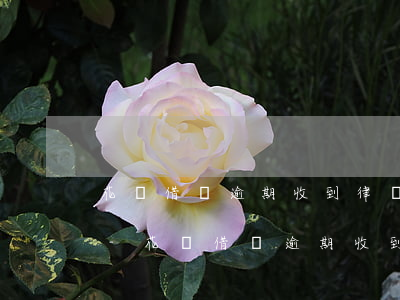 花唄借唄逾期收到律師函如何回復(fù)-花唄借唄逾期收到律師函如何回復(fù)對(duì)方