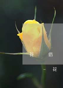 花唄借唄逾期收到律師函會(huì)立案嗎-花唄借唄逾期收到律師函會(huì)立案嗎是真的嗎