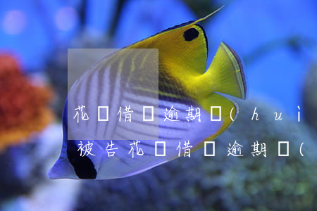 花唄借唄逾期會(huì)不會(huì)被告(花唄借唄逾期會(huì)不會(huì)被告)