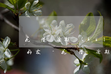 花唄借唄逾期會(huì)打電話給通訊錄好友嗎-花唄借唄逾期了會(huì)打電話給通訊錄嗎