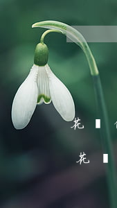 花唄借唄逾期會(huì)收到法院傳票嗎(花唄最多逾期多長(zhǎng)時(shí)間會(huì)被下發(fā)法院傳票)