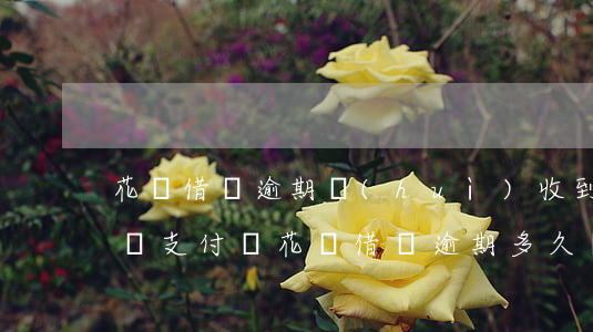花唄借唄逾期會(huì)收到法院的傳票嗎(支付寶花唄借唄逾期多久會(huì)收到傳票)