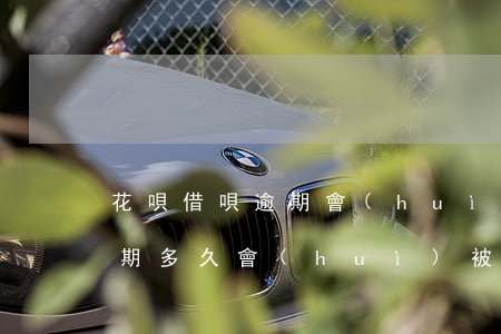 花唄借唄逾期會(huì)被訴訟嗎(花唄逾期多久會(huì)被起訴?花唄逾期怎么辦)