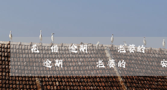 花唄借唄逾期會凍結老婆的賬號嗎-花唄借唄逾期會凍結老婆的賬號嗎安全嗎