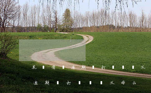 花唄借唄逾期會打電話給父母么-花唄借唄逾期會打電話給父母么