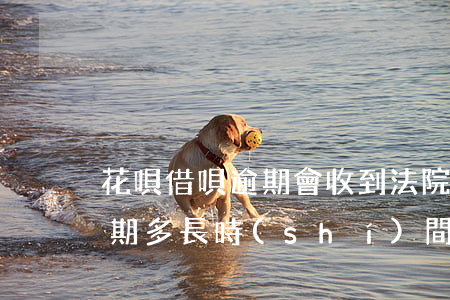 花唄借唄逾期會收到法院傳票嗎(花唄最多逾期多長時(shí)間會被下發(fā)法院傳票)