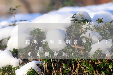 花唄借唄逾期會聯(lián)系家人嗎(借唄逾期會聯(lián)系家人么)
