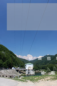 花唄借唄逾期會要求一次性結清嗎-花唄借唄逾期過全部還清以后會影響征信嗎