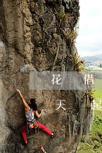 花唄借唄逾期有多少利息 花唄借唄逾期多少天會起訴,我已經(jīng)還了2000多