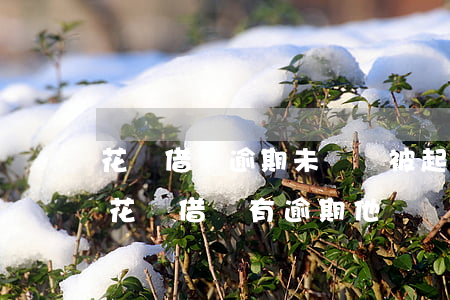 花唄借唄逾期未還會被起訴嗎-支付寶里的花唄借唄有逾期,他們會不會起訴到法院