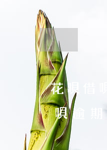 花唄借唄逾期未還被起訴會怎么樣-花唄借唄逾期未還被起訴會怎么樣嗎
