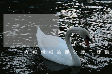 花唄借唄逾期欠幾千塊(借唄逾期幾萬)