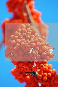 花唄借唄逾期沒能力償還 花唄借唄逾期沒能力償還