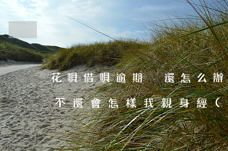 花唄借唄逾期沒還怎么辦(螞蟻花唄借唄逾期不還會怎樣?我親身經(jīng)歷:實在太扎心)