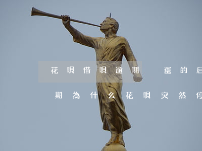 花唄借唄逾期沒還的后果(花唄借唄都沒有逾期,為什么花唄突然停了)