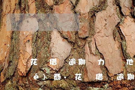 花唄借唄逾期無力償還,他們不允許協(xié)商-花唄,借唄逾期了,現(xiàn)在沒有能力償還怎么辦