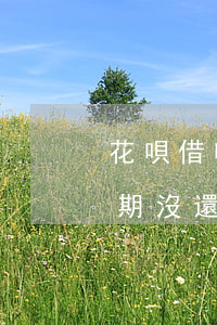 花唄借唄逾期無力償還被起訴了(花唄借唄逾期沒還被起訴會(huì)有什么后果)