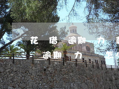 花唄借唄逾期無力還款發(fā)支付令(借唄逾期無力償還怎么辦)