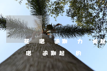 花唄借唄逾期無力還被起訴(有被支付寶花唄借唄逾期起訴的嗎?)