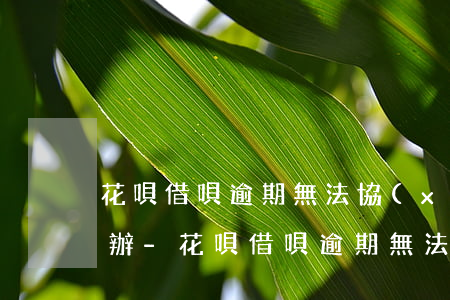 花唄借唄逾期無法協(xié)商分期怎么辦-花唄借唄逾期無法協(xié)商分期怎么辦啊