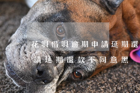 花唄借唄逾期申請延期還款(花唄借唄逾期申請延期還款不同意黑貓投訴有用嗎)
