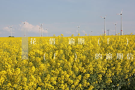 花唄借唄逾期發(fā)消息立案(收到借唄發(fā)來的逾期信息)