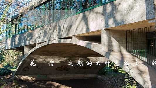 花唄借唄逾期的大神怎么度過的-
