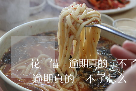 花唄借唄逾期真的還不了怎么辦-花唄借唄逾期真的還不了怎么辦呢