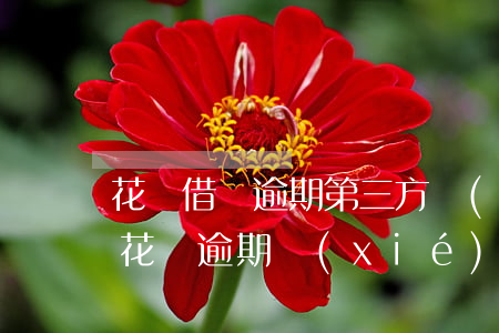 花唄借唄逾期第三方協(xié)商(支付寶花唄逾期協(xié)商成功)