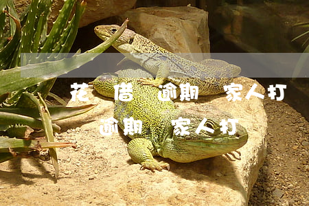 花唄借唄逾期給家人打電話違法么-花唄借唄逾期給家人打電話違法么