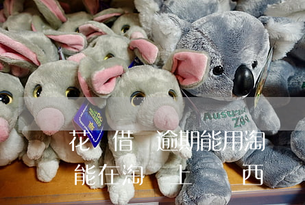 花唄借唄逾期能用淘寶嗎(花唄逾期了還能不能在淘寶上買東西?)