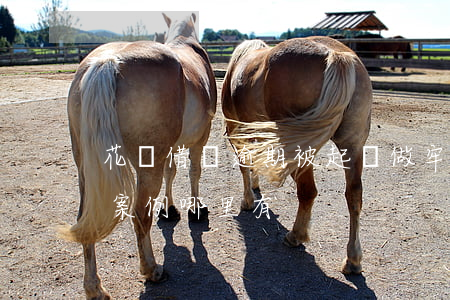 花唄借唄逾期被起訴做牢案例(借唄逾期起訴案例哪里有)