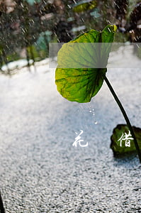 花唄借唄逾期要上門取證嗎(借唄 逾期 上門)