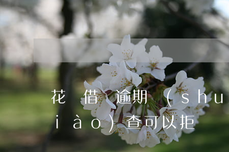 花唄借唄逾期說(shuō)要上門調(diào)查可以拒絕嗎?-花唄借唄逾期說(shuō)要上門調(diào)查可以拒絕嗎是真的嗎