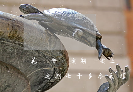 花唄借唄逾期說要上門會真上門嗎-花唄借唄逾期七千多今天打電話說上門