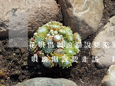 花唄借唄逾期說要來家訪真的假的-花唄借唄逾期說要走訪戶籍地是真的假的