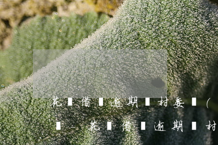 花唄借唄逾期讓村委協(xié)助是真的嗎-花唄借唄逾期讓村委協(xié)助是真的嗎嗎